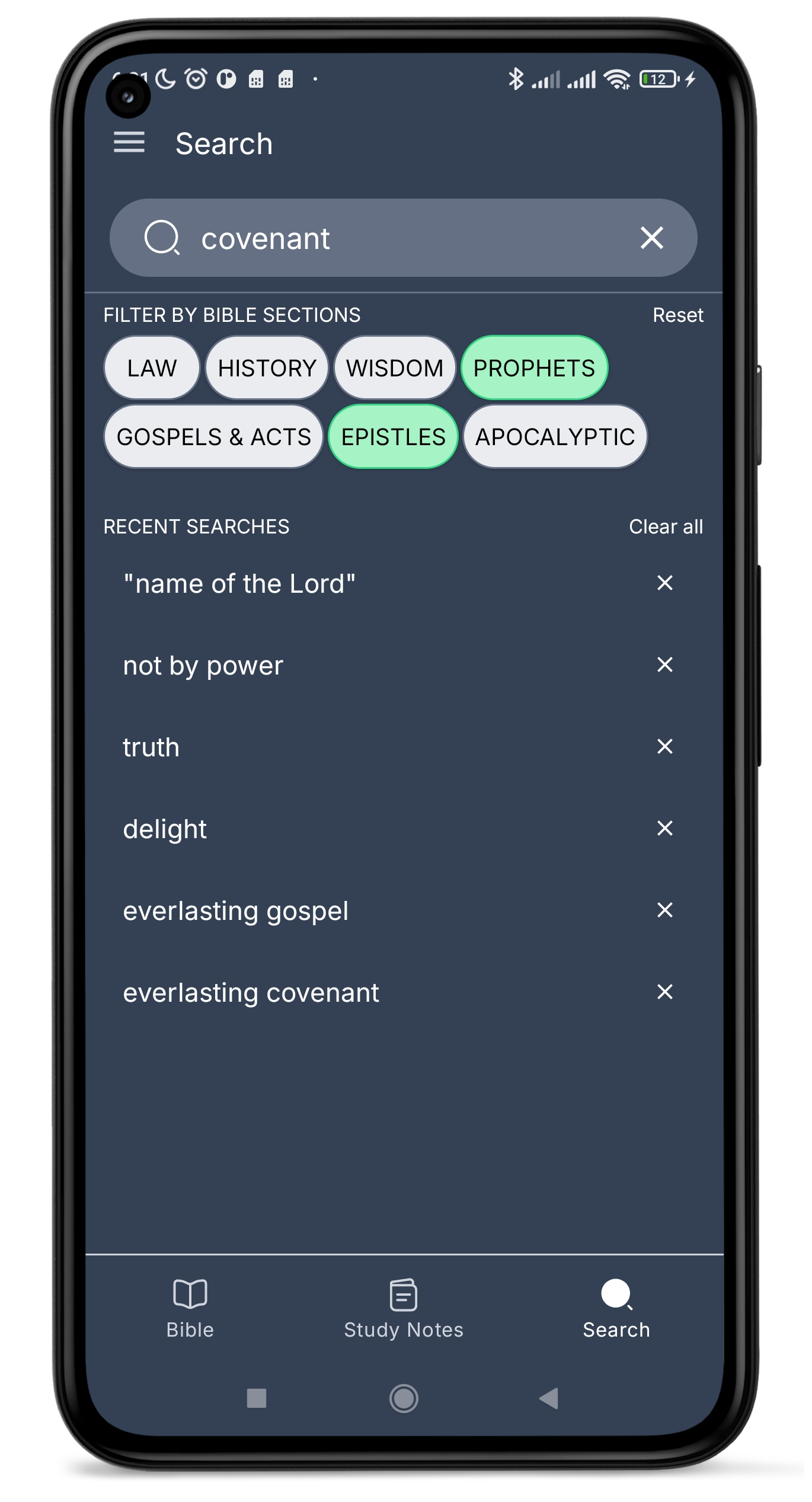 Bible search functionality