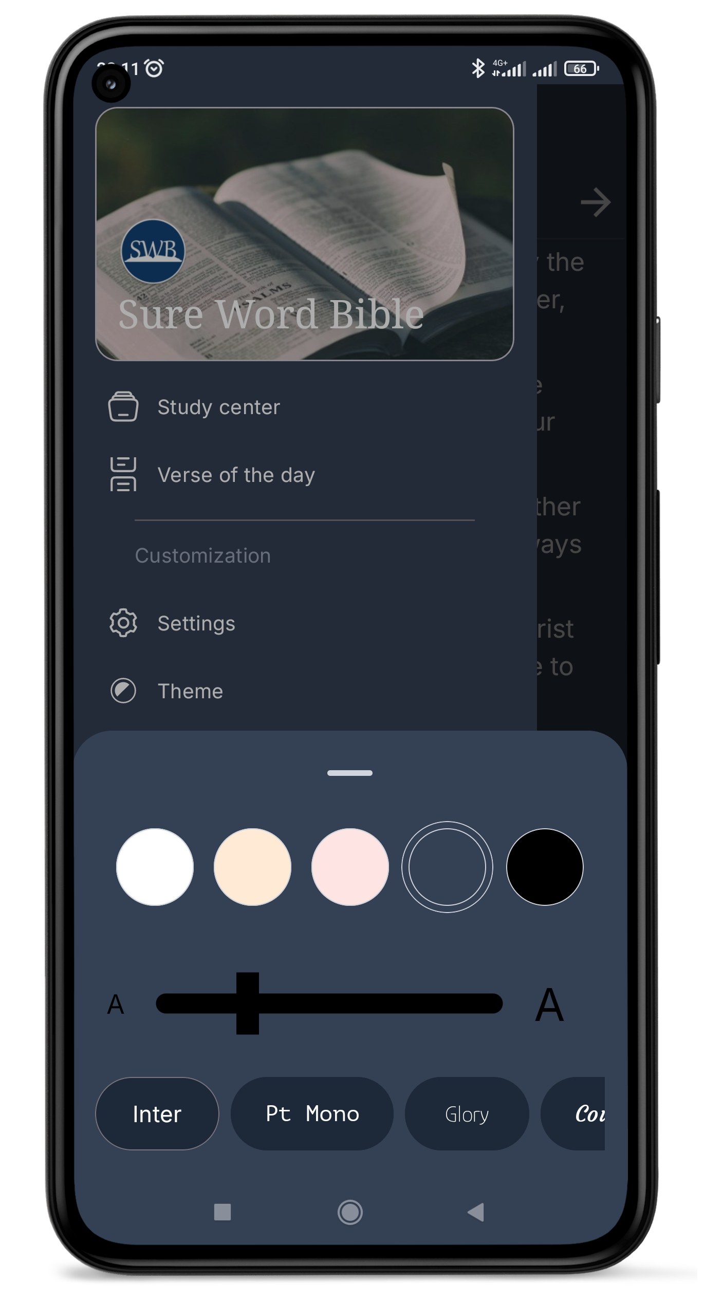 App theme customization